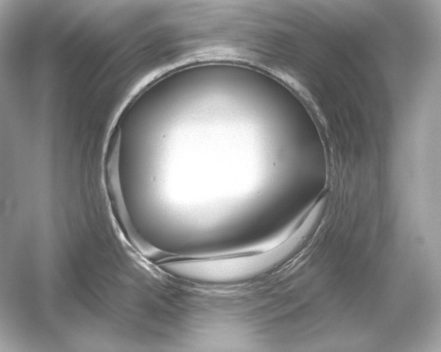 X0000051901342200507222032