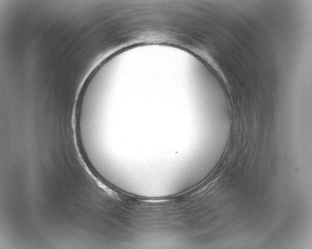 X0000051901343200507222032