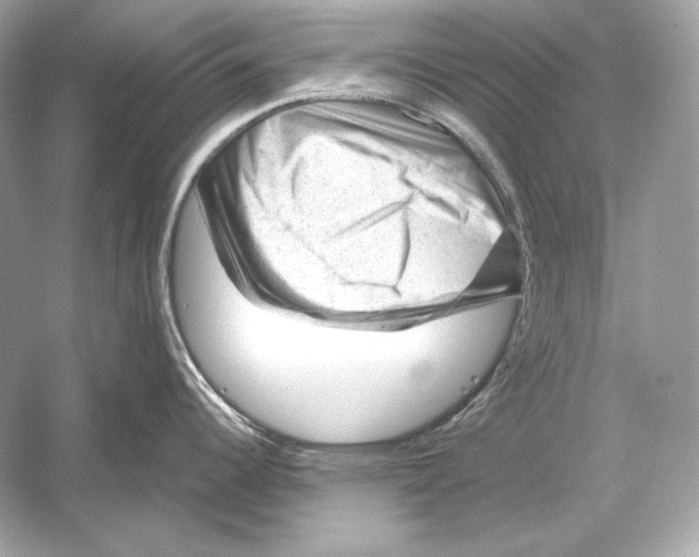 X0000051901344200507222032