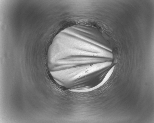 X0000051901345200507222031