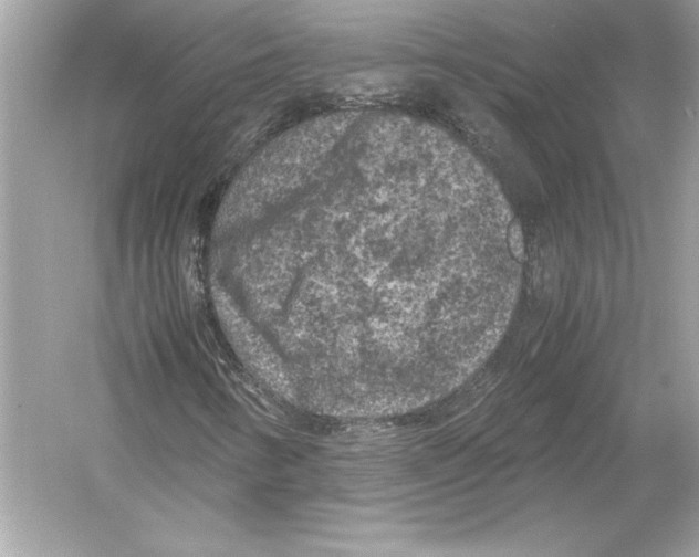 X0000051901346200507222031