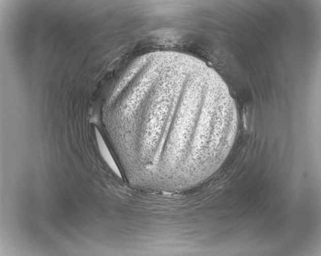 X0000051901347200507222031