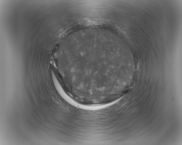 X0000051901348200507222031