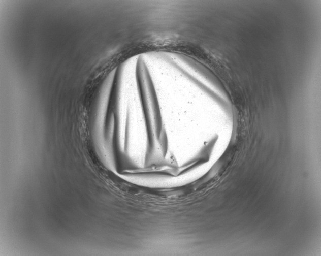 X0000051901349200507222031