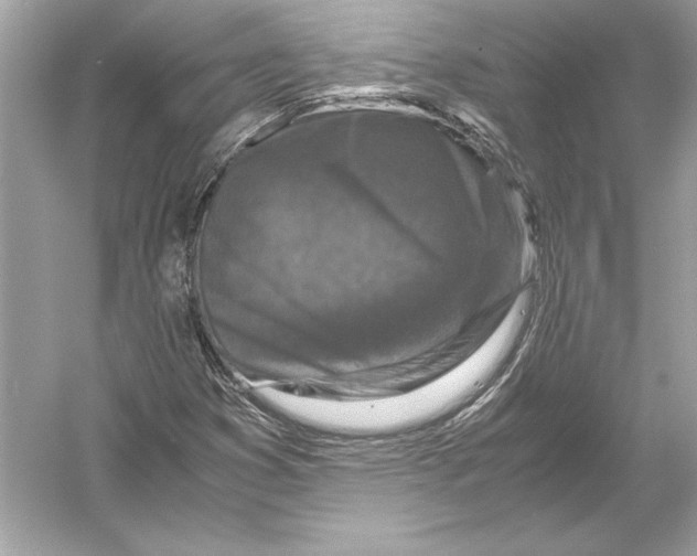 X0000051901353200507222031
