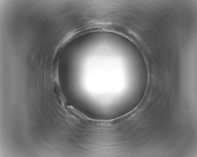X0000051901354200507222031