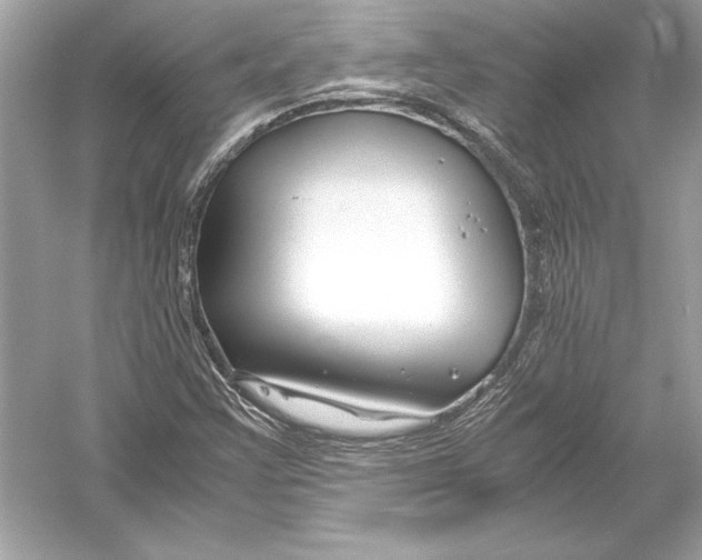 X0000051901355200507222031