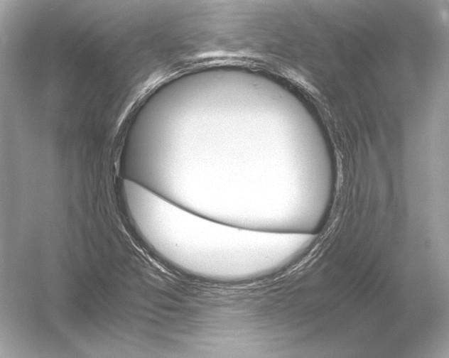 X0000051901357200507222031