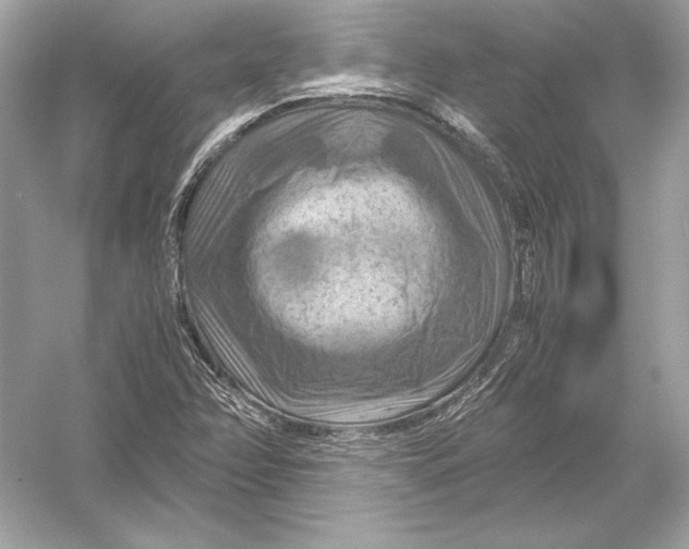 X0000051901358200507222031