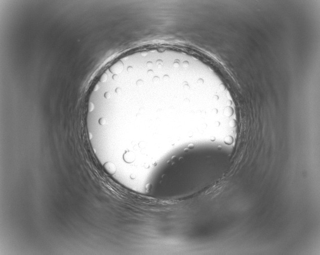 X0000051901359200507222031