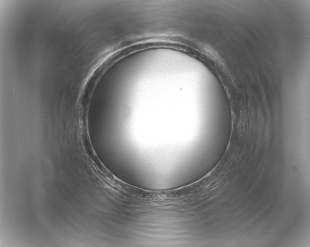 X0000051901360200507222031