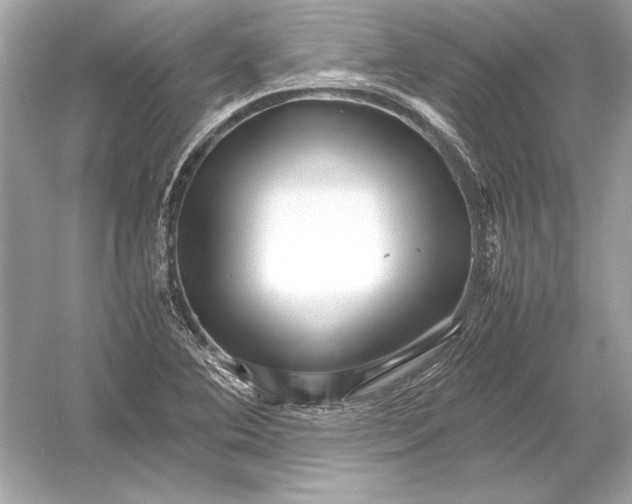 X0000051901364200507222031