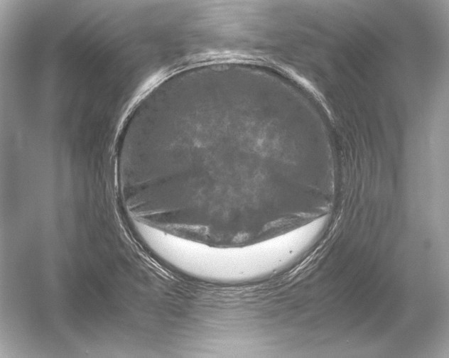 X0000051901365200507222031