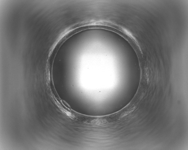 X0000051901368200507222031