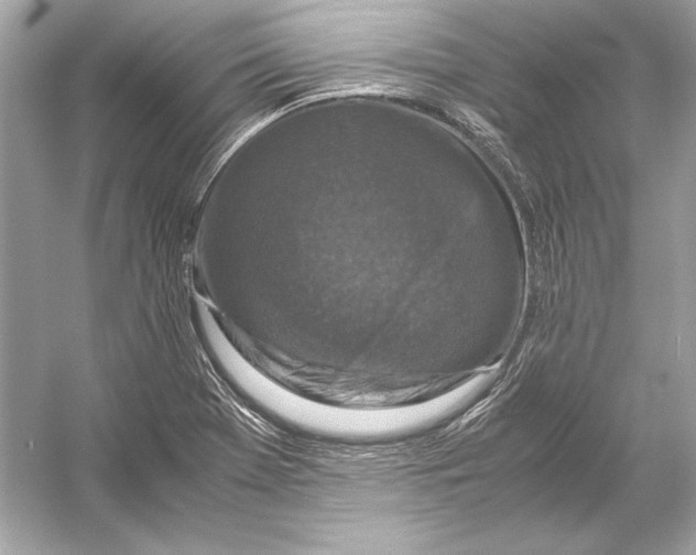X0000051901369200507222031