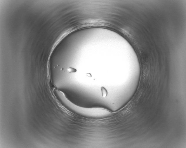 X0000051901370200507222031