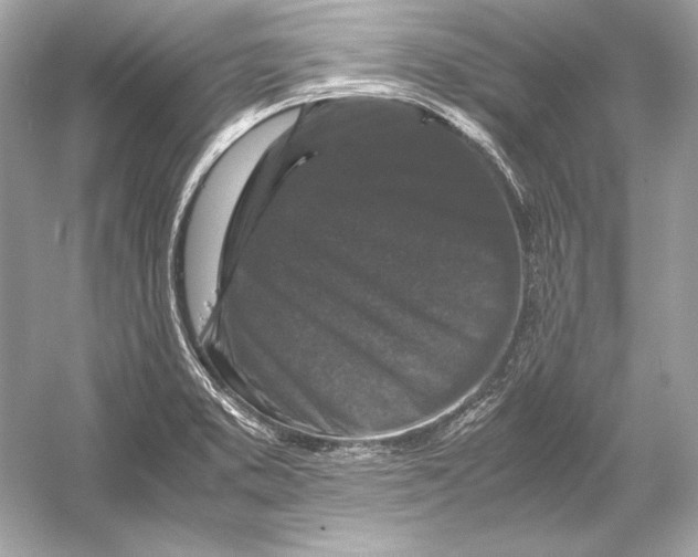 X0000051901373200507222031