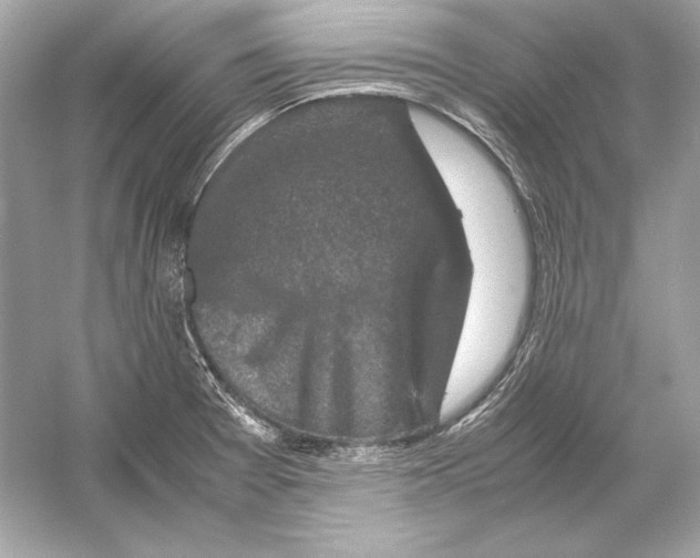 X0000051901377200507222031