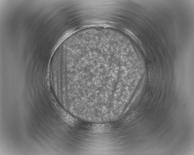 X0000051901378200507222031