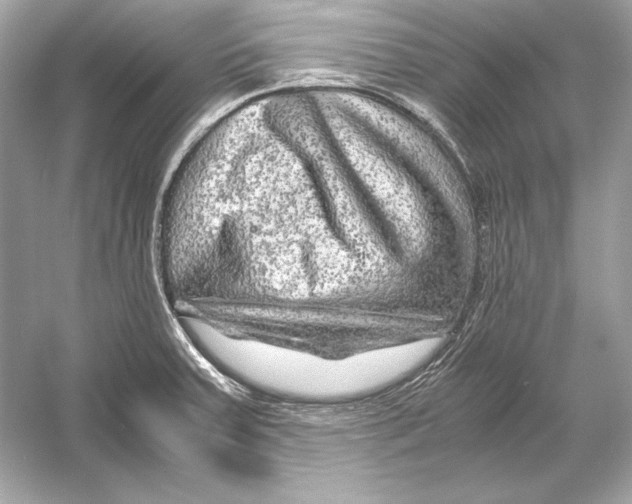 X0000051901379200507222031