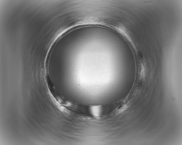 X0000051901380200507222031