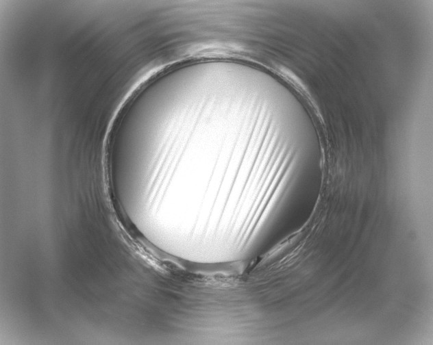 X0000051901384200507222030