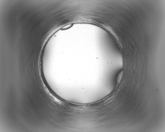X0000051901387200507222030