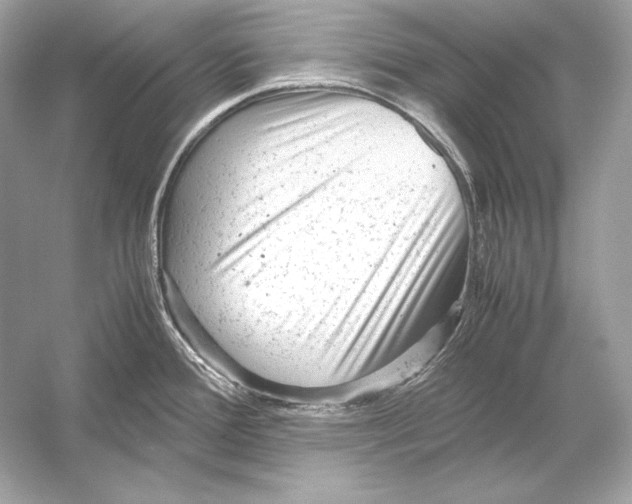 X0000051901388200507222030
