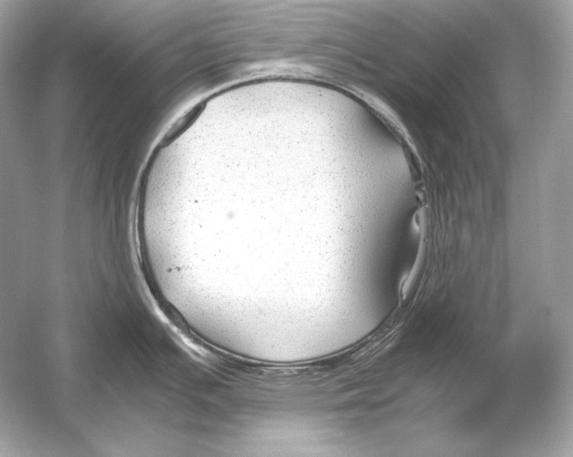 X0000051901391200507222030