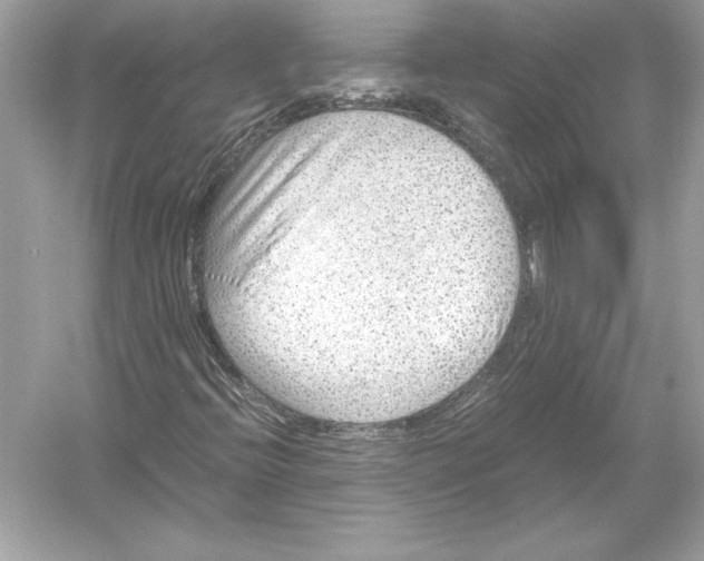 X0000051901396200507222030