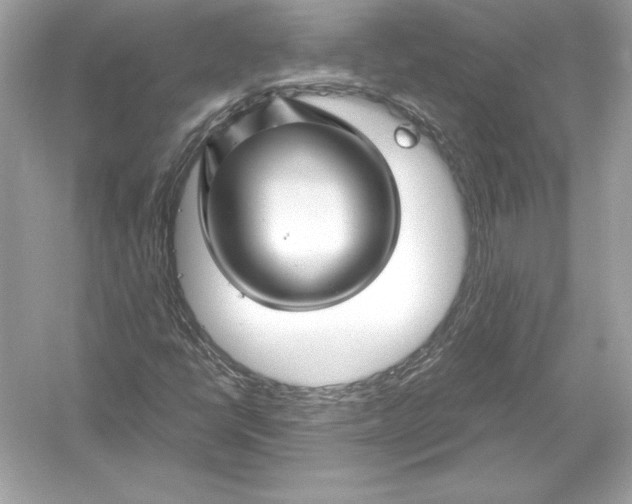 X0000051901398200507222030