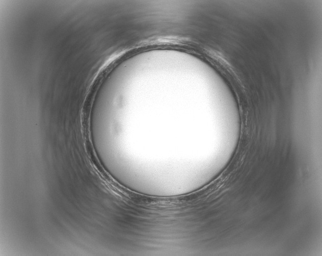 X0000051901404200507222030