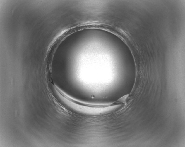 X0000051901406200507222030