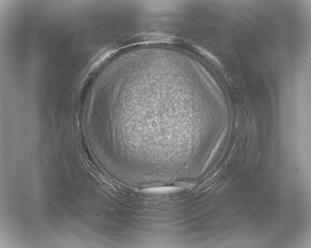 X0000051901407200507222030