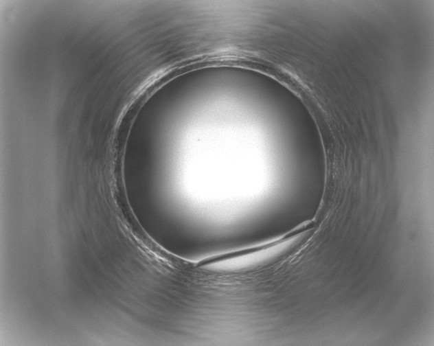 X0000051901410200507222030
