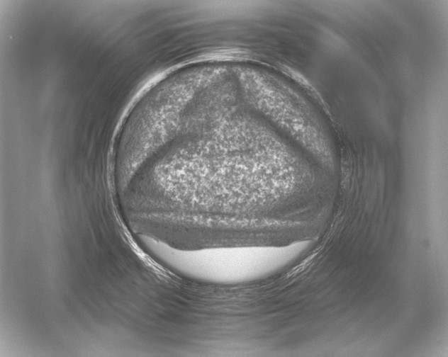 X0000051901421200507222030