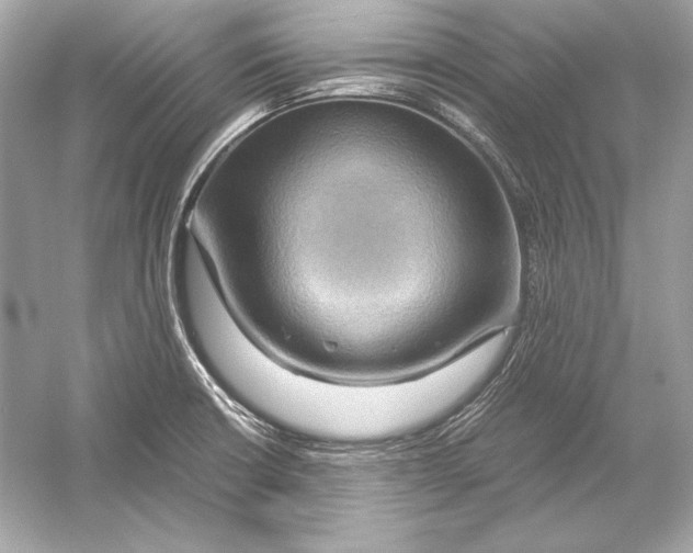 X0000051901426200507222030