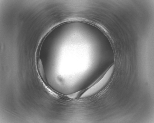 X0000051901430200507222030