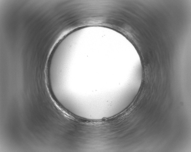 X0000051901432200507222030