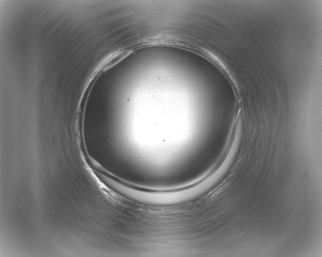 X0000051901434200507222030