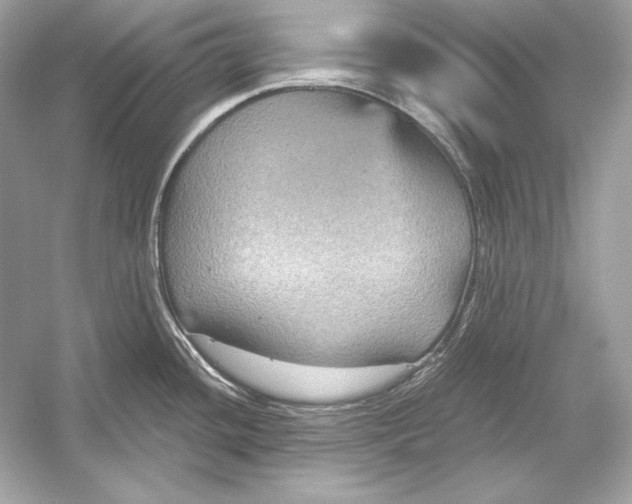 X0000051901436200507222030