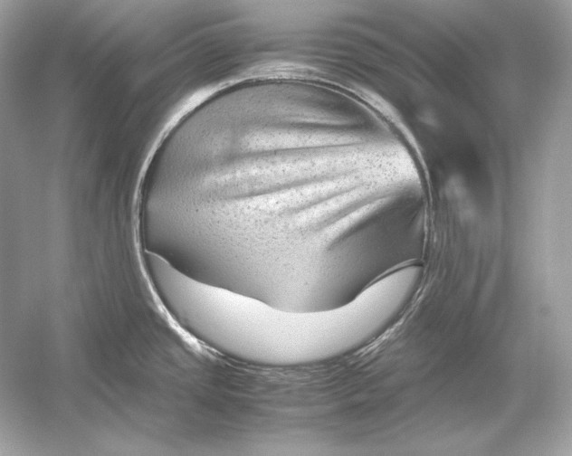 X0000051901437200507222030