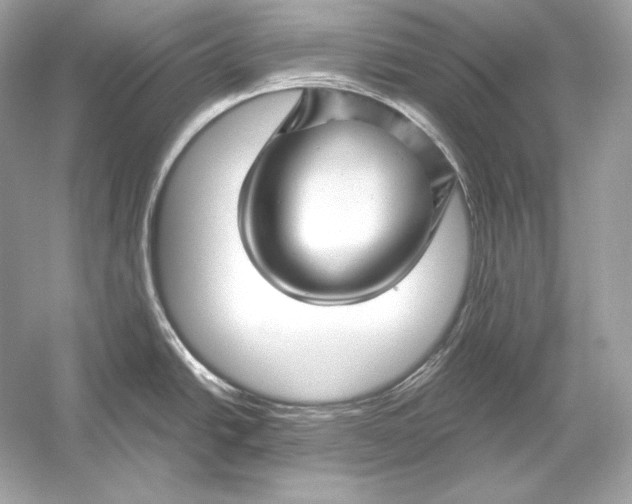 X0000051901438200507222030