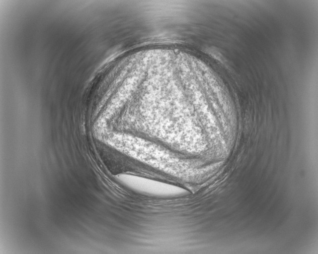 X0000051901451200507222029