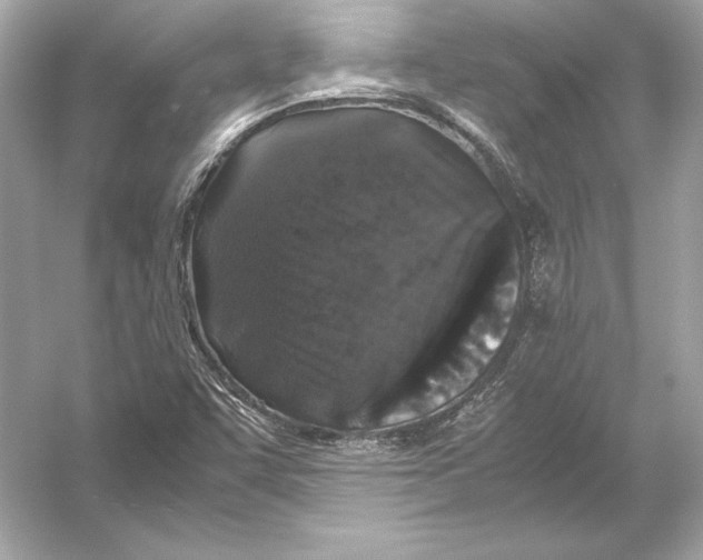 X0000051901455200507222029