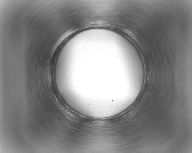 X0000051901458200507222029