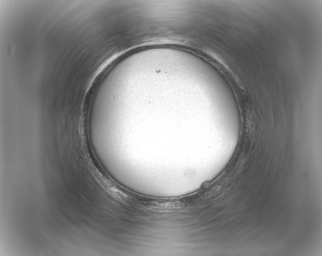 X0000051901460200507222029