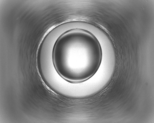X0000051901471200507222029