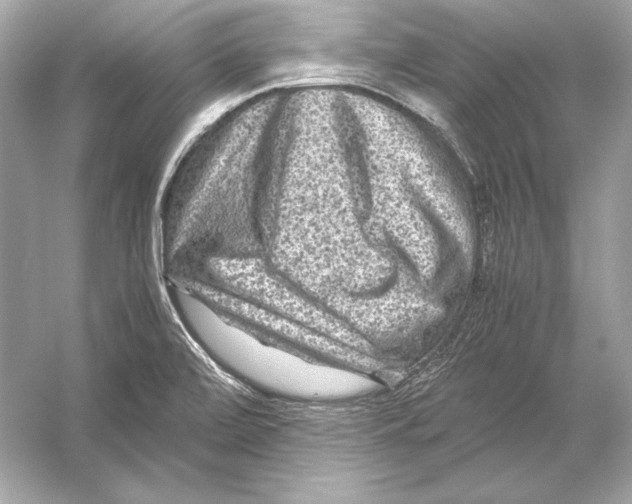 X0000051901472200507222029