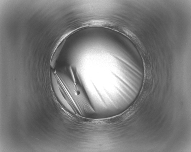 X0000051901473200507222029